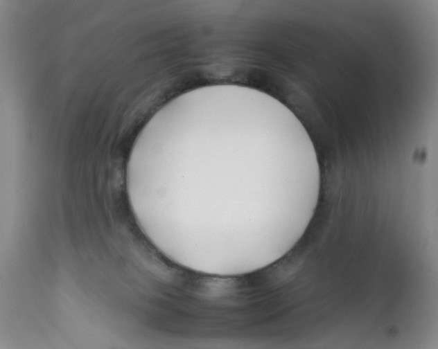 X0000112370085200909101332