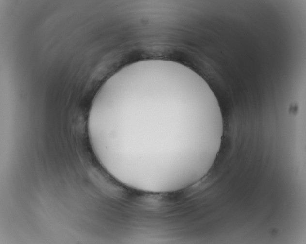 X0000112370086200909101332