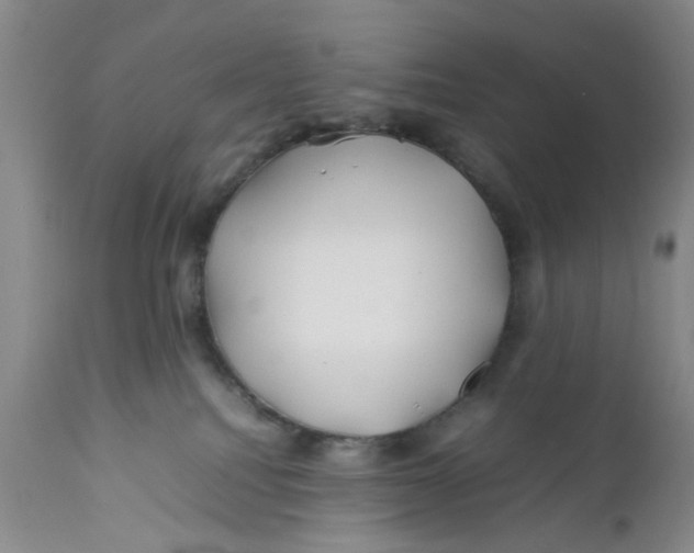 X0000112370088200909101332