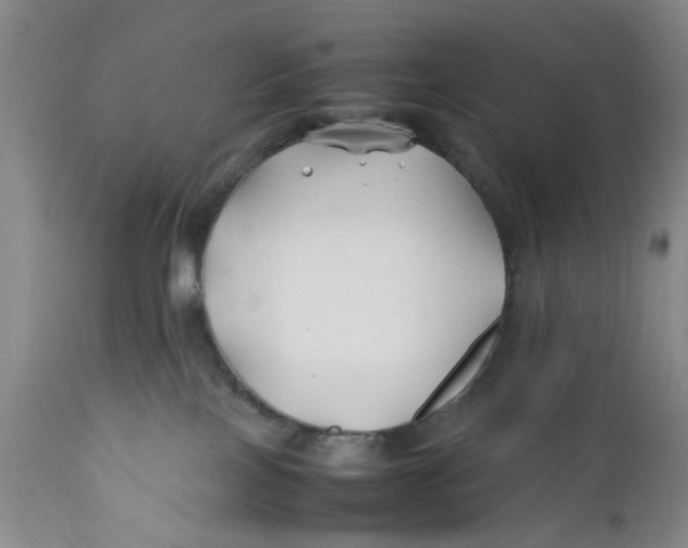 X0000112370089200909101332