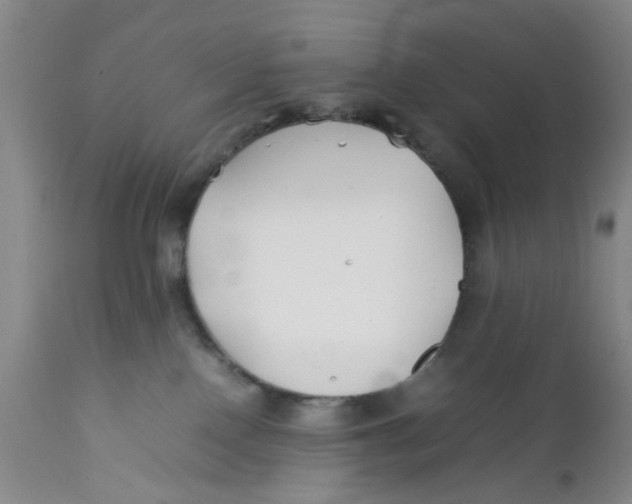 X0000112370090200909101332