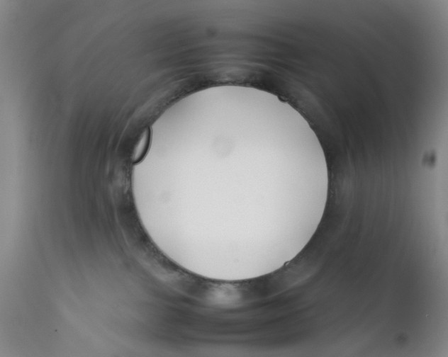 X0000112370091200909101332