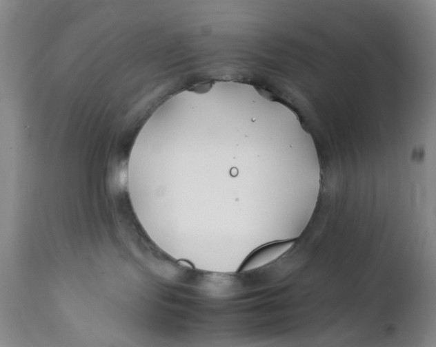 X0000112370095200909101332