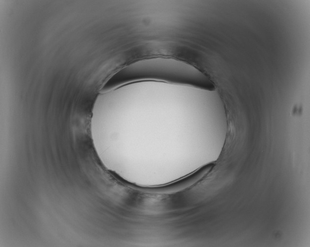X0000112370096200909101332