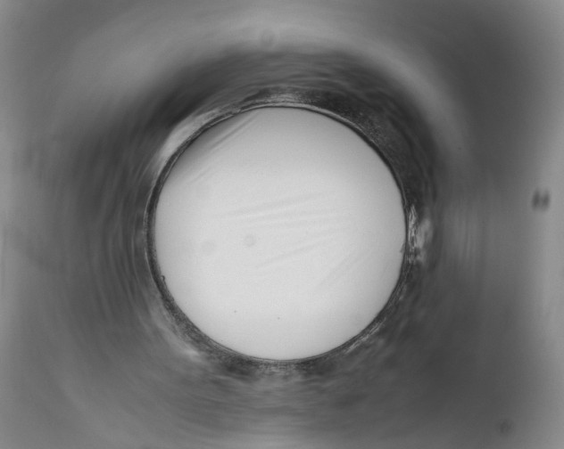 X0000112370099200909101331