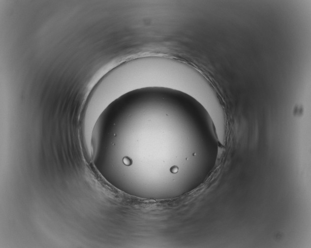 X0000112370100200909101331