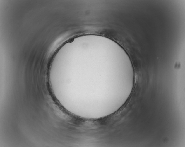 X0000112370101200909101331