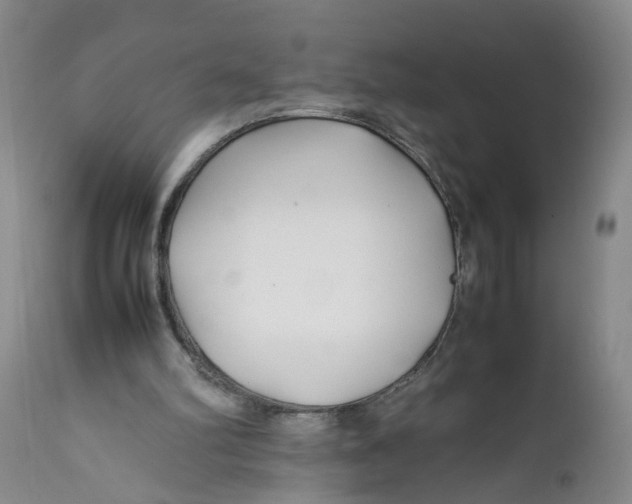 X0000112370102200909101331