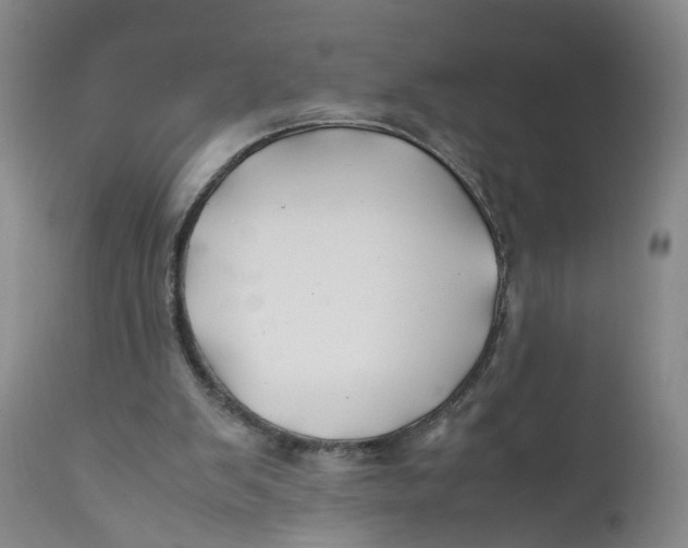 X0000112370103200909101331