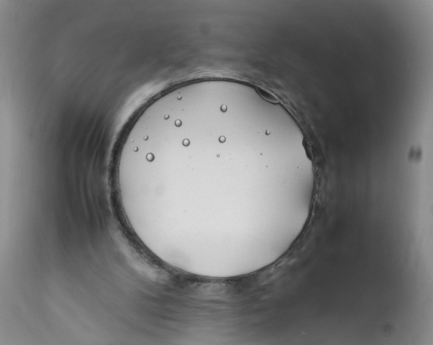 X0000112370104200909101331