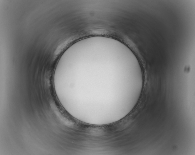 X0000112370106200909101331