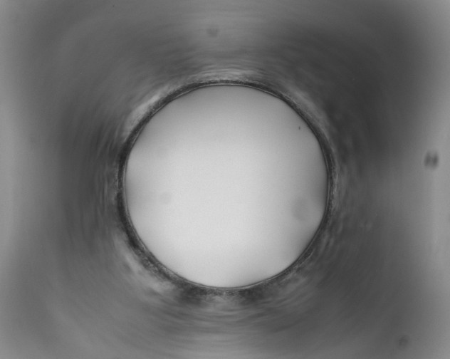 X0000112370107200909101331