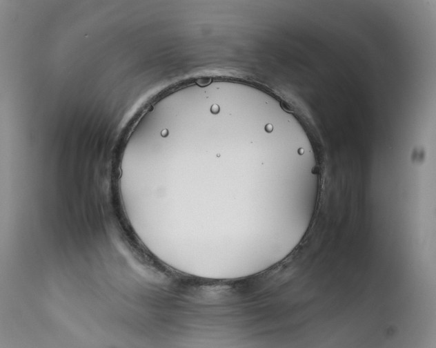 X0000112370108200909101331