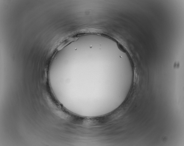 X0000112370109200909101331