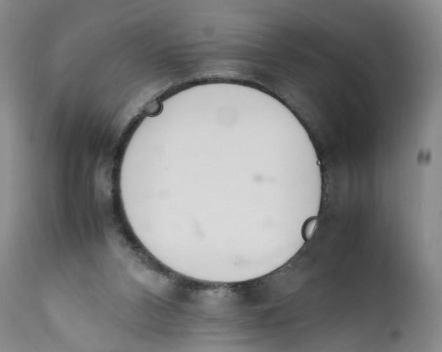 X0000112370112200909101331