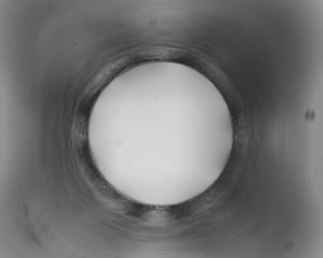 X0000112370119200909101331