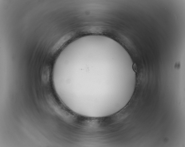 X0000112370120200909101331