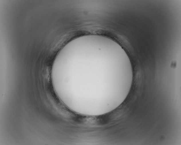 X0000112370121200909101331