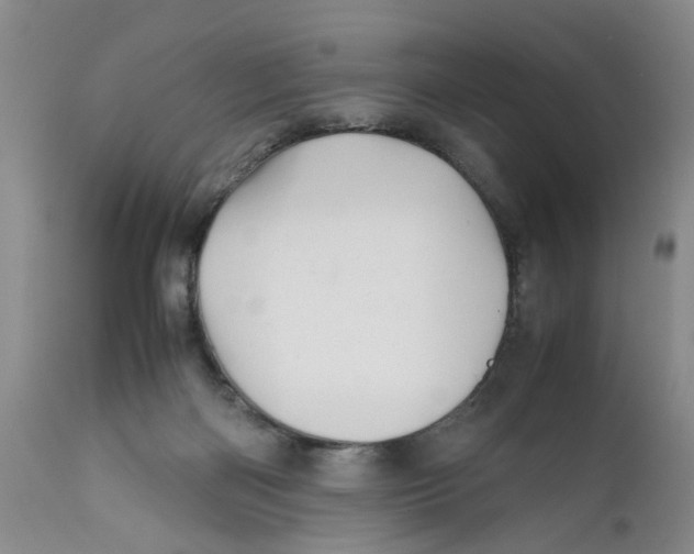 X0000112370122200909101331