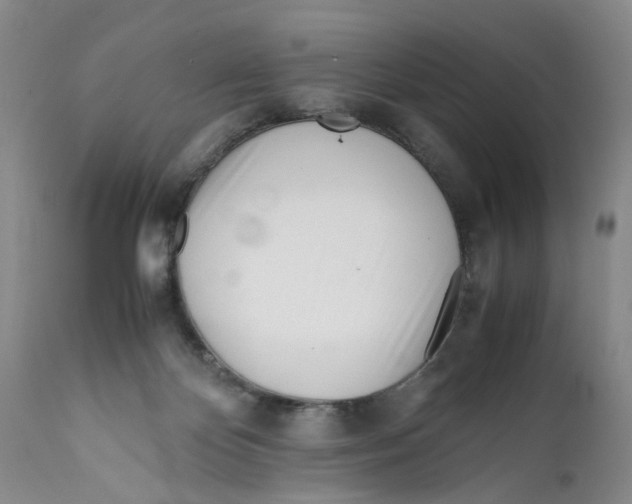 X0000112370124200909101331
