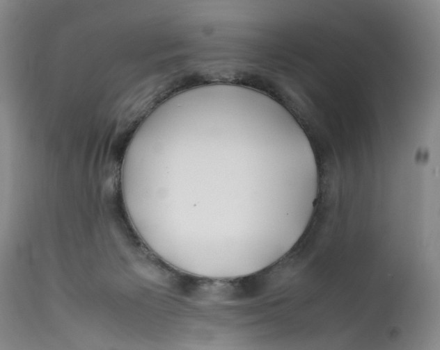 X0000112370125200909101331