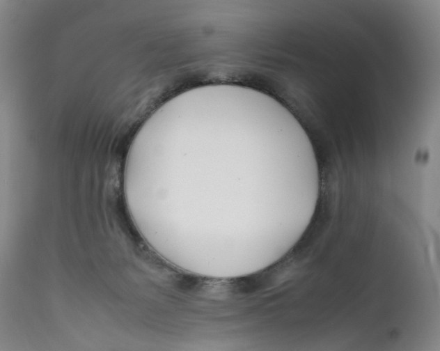 X0000112370127200909101331