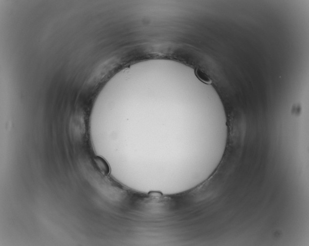 X0000112370128200909101331