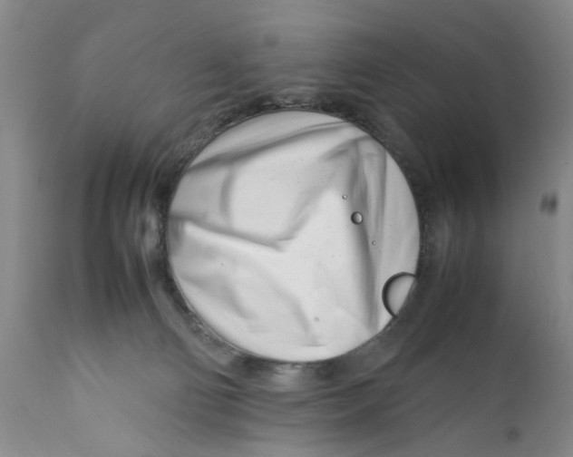 X0000112370130200909101331