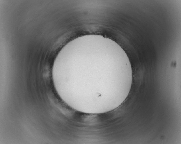 X0000112370132200909101331