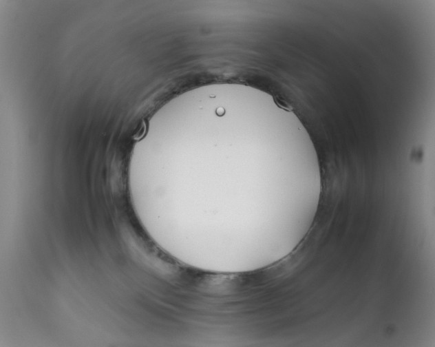 X0000112370136200909101331