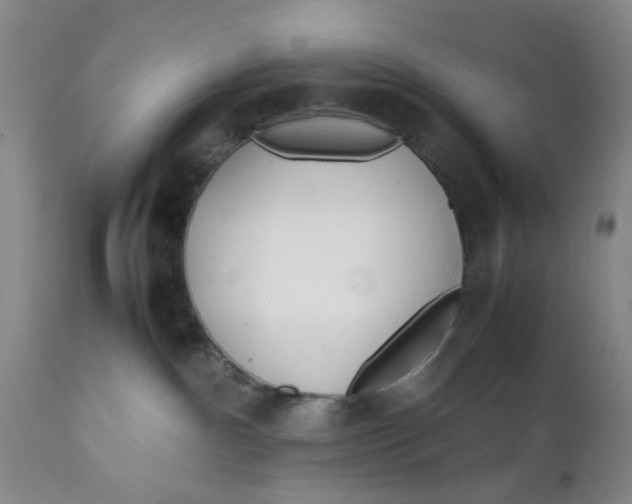 X0000112370140200909101330