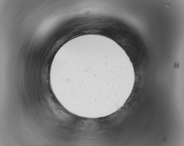 X0000112370146200909101330