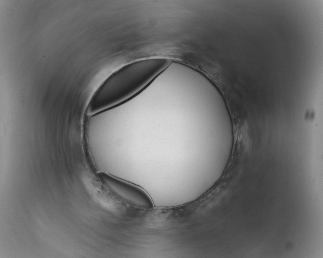 X0000112370148200909101330