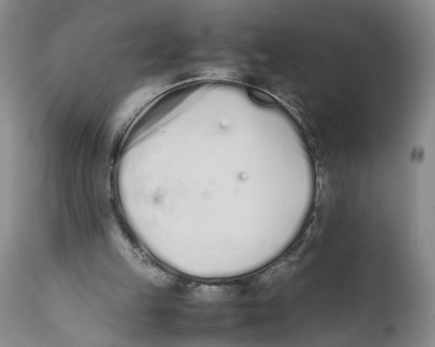 X0000112370149200909101330