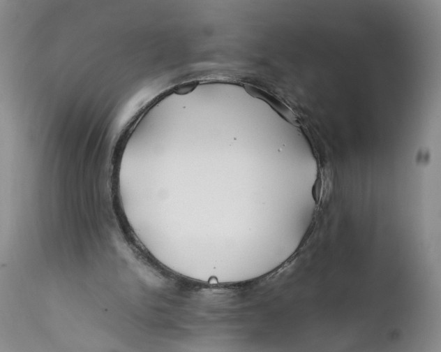 X0000112370150200909101330