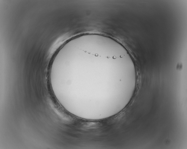 X0000112370151200909101330