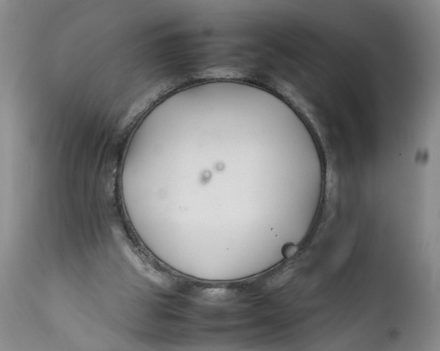 X0000112370153200909101330