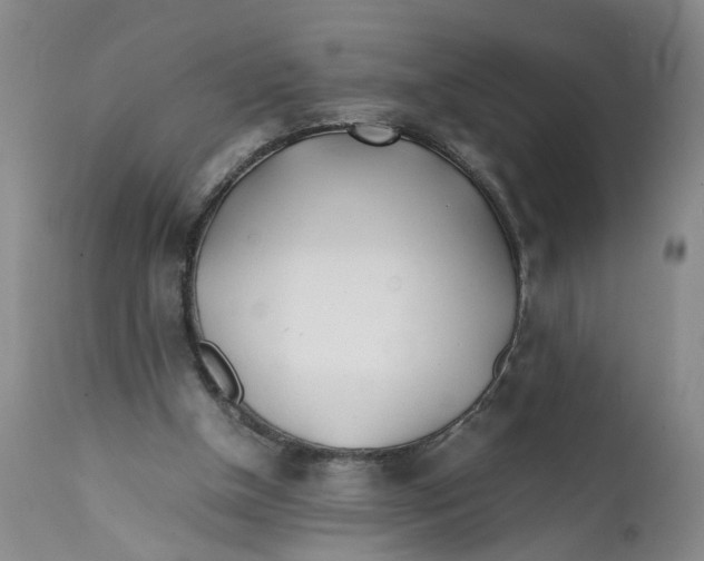 X0000112370154200909101330