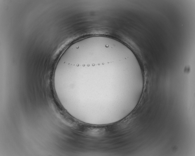 X0000112370155200909101330