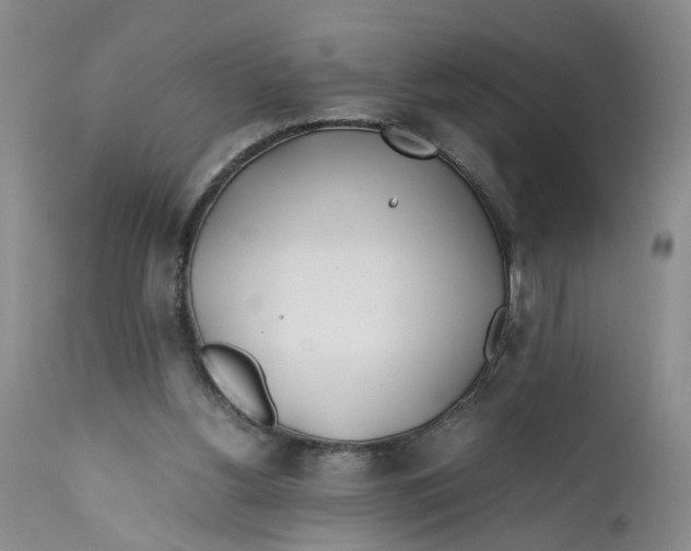X0000112370156200909101330