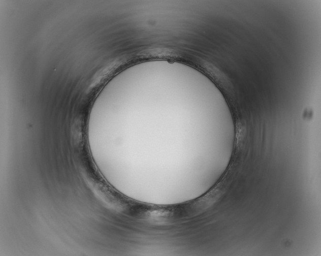X0000112370158200909101330
