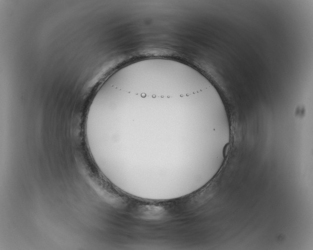 X0000112370159200909101330