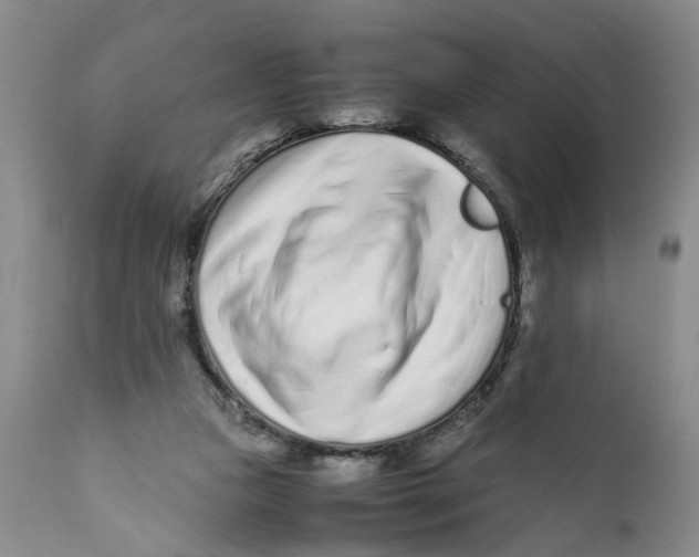 X0000112370161200909101330