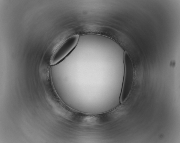 X0000112370168200909101330