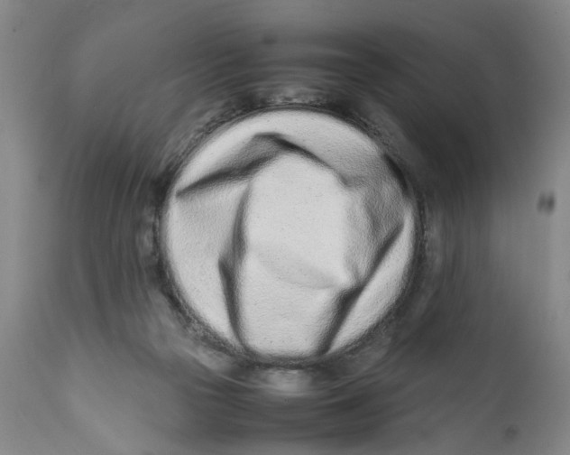 X0000112370169200909101330