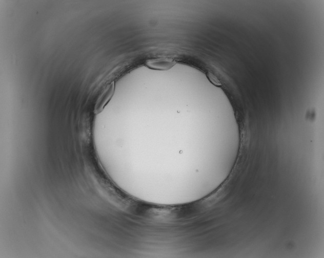 X0000112370170200909101330
