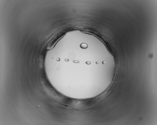 X0000112370174200909101330