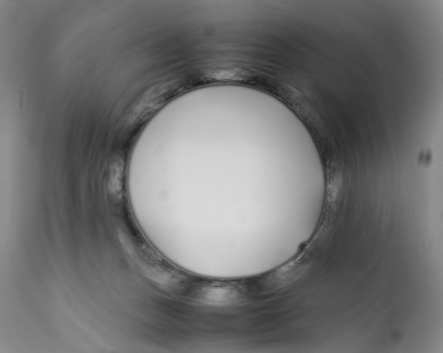 X0000112370175200909101330