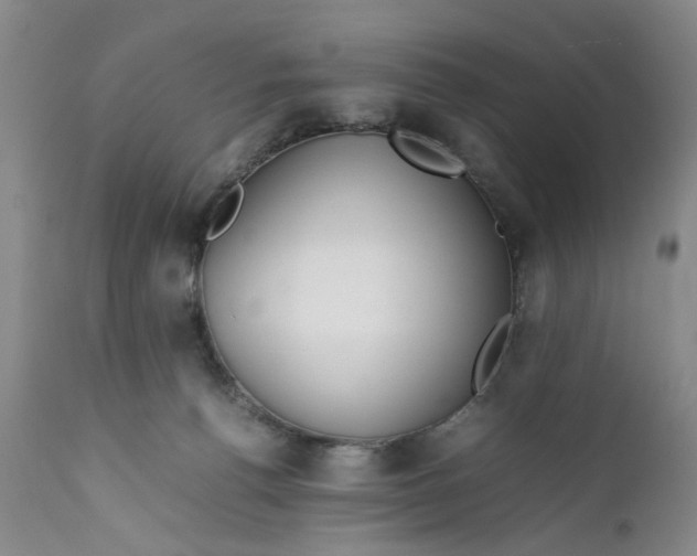 X0000112370176200909101330