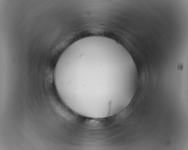 X0000112370180200909101330